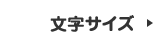 文字サイズ